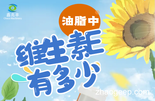 兆格分享：全自動(dòng)液壓榨油機(jī) 維生素E是什么？什么食用油含維生素E高？